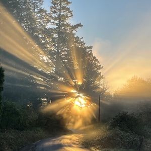 Meet your Posher, Griffin